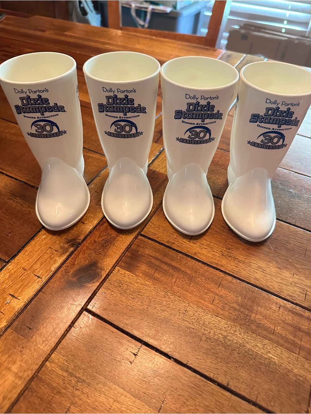 30th Anniversary Dolly Parton stampede Boot Tumbler Set